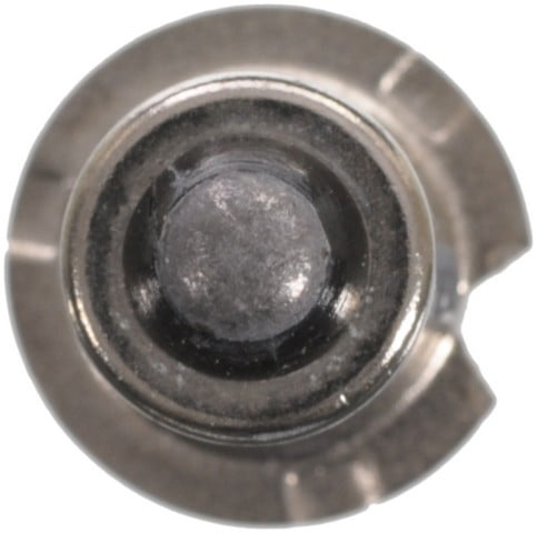 Wagner Lighting Multi Purpose Light Bulb P/N:Bppr2