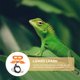 thumbnail image 3 of VERDANVERSE 5Ud Arnés De Reptil Ajustable De Cuero Con Ala Para Pequeñas Mascotas, 3 of 5