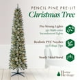 thumbnail image 2 of Home Heritage Stanley 7' Pine Artificial Christmas Tree, PreLit 350 Clear Lights, 2 of 8