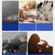 thumbnail image 4 of 2pcs Car Window Sun Shade UV Protection Breathable Mesh Car Curtains for Car Camping Privacy Shade Front Window, 4 of 4
