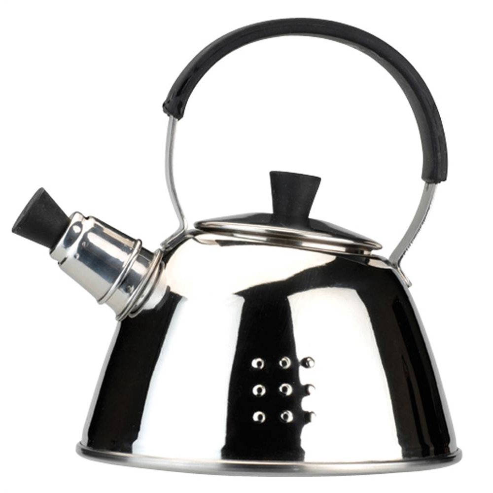 Stainless Steel Tea Kettle