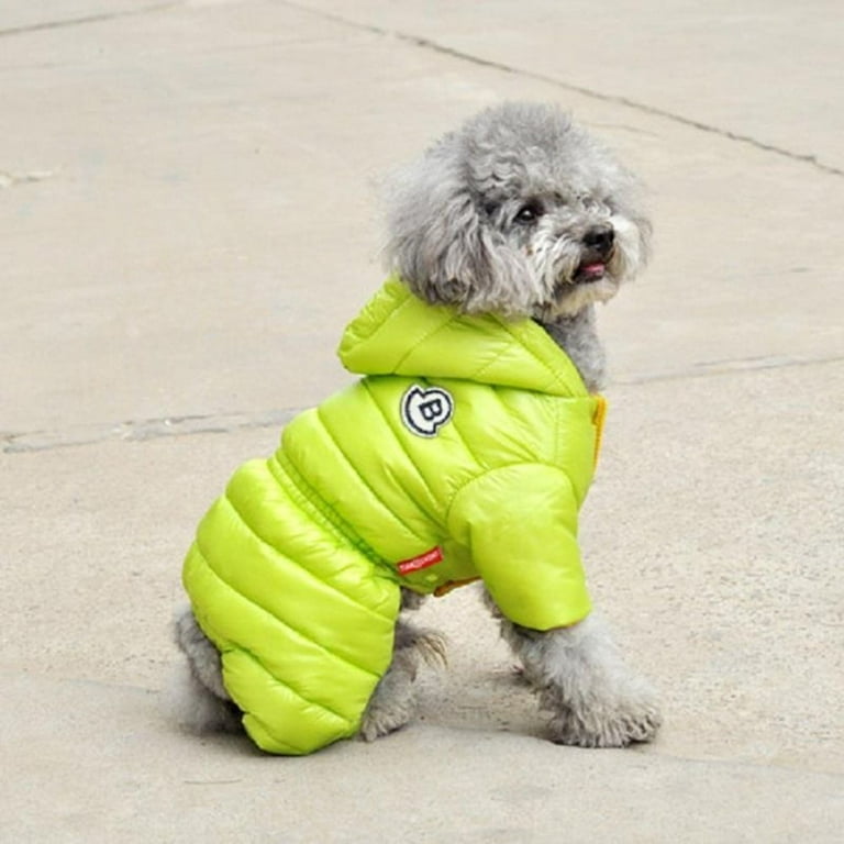 teddy bear dog coat