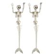 thumbnail image 4 of Esqueletos de Halloween, decoración de esqueletos con articulaciones de cuerpo completo, accesorios de huesos humanos aterradores para 2 esqueletos, 4 of 9