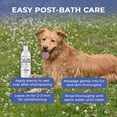 thumbnail image 3 of Pet Scholars Oatmeal & Aloe Conditioner Skin Soothing, Itch-Relief (16 fl oz), 3 of 6