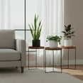 thumbnail image 3 of Vigoro Triangle Base Wood Top Plant Stand 19" - 3 Pack, 3 of 6