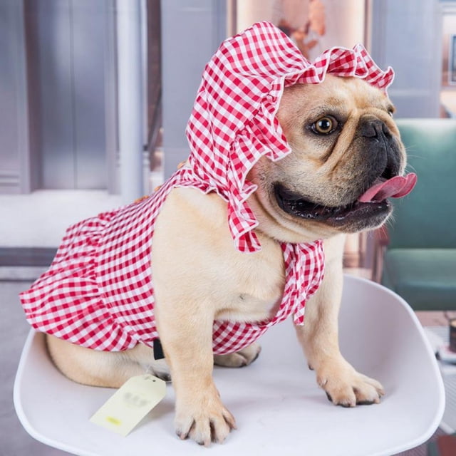 Puppy Dog Princess Dress,Pet Dogs Summer Clothes Skirt with Hat,Pets Party Apparel Outfit Suit for Small to Medium Dogs