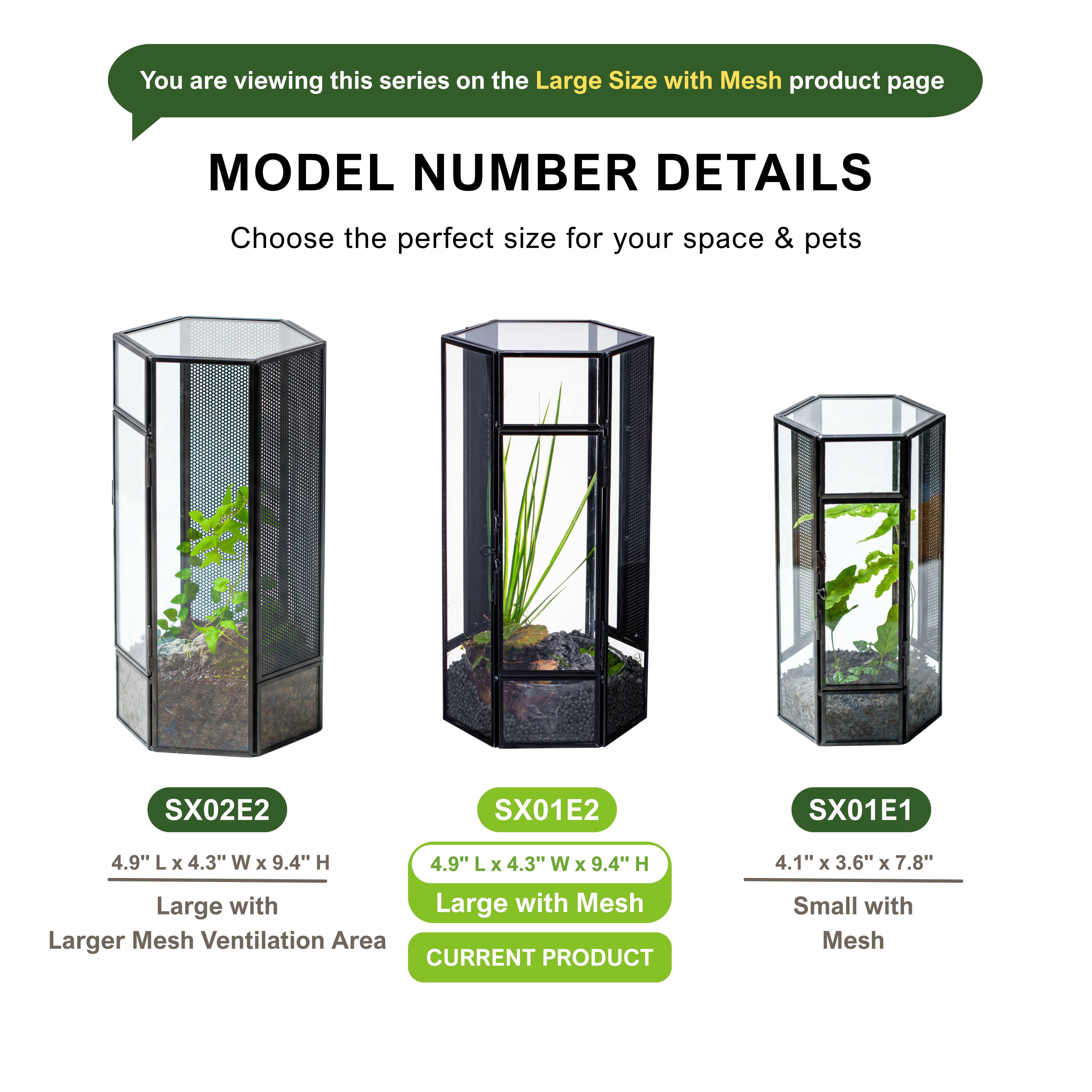 NCYP Small Stainless Steel Hexagon Shaped Enclosure Terrarium with Mesh, 4.9x4.3x9.4 inches Tabletop Jumping Spider, Small Insect Habitat, Vertical Placed (Terrarium Only)