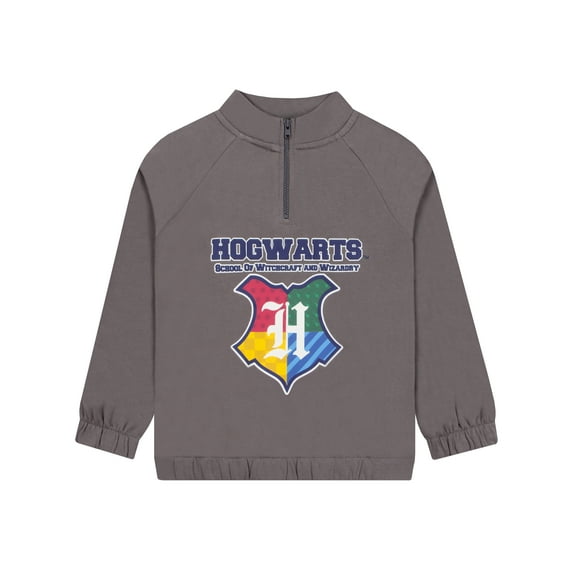 Harry Potter Boys Zip Up Hogwarts Sweatshirt Gray Sizes 6-14