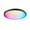 🔥 Black_New, variant on LED Ceiling Light Fixture 2400LM, Mountable Full Color Dimmable Light with 16 Million DIY Colors, 2200K-6500K Adjustable, Bluetooth APP and Voice Control Smart Ceiling Lamp for Home