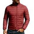 thumbnail image 2 of Ceisia Men Solid Stand Collar Quilted Puffer Jacket Full Zip Lightweight Warm Outer Coat For Fall Winter Outdoor Travel Daily Commute Gift, 2 of 7