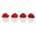 thumbnail image 4 of Surtido 4 Unids En Maceta Artificial Suculentas Plantas Soporte De Exhibición Ornamento Boda Decoración Hogar Centro 1 Soledad Plantas suculentas artificiales, 4 of 10