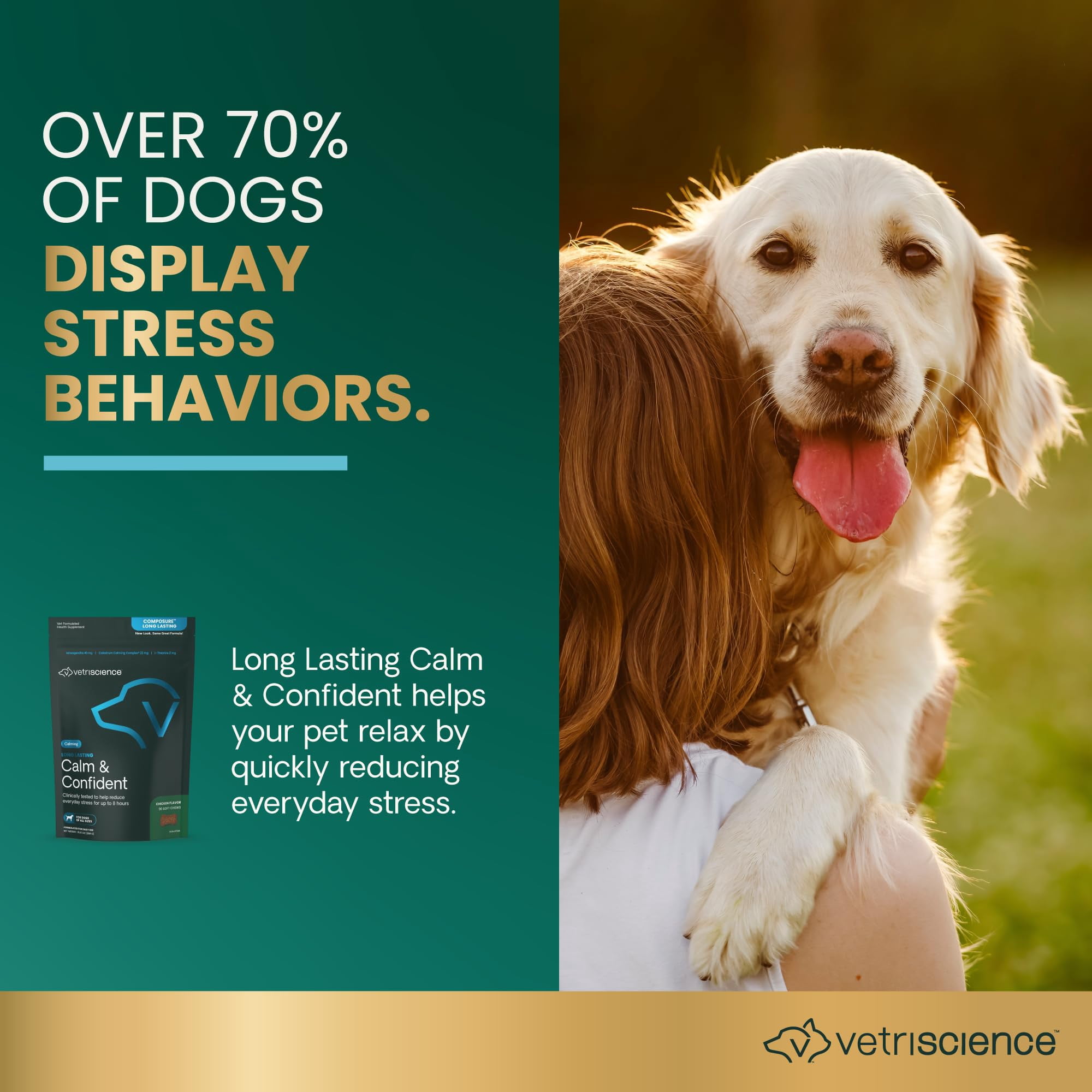 VetriScience Composure Long Lasting for Dogs, Calming Behavior and Anxiety Support, Chicken Liver Flavor, 90 Bite Sized Chews