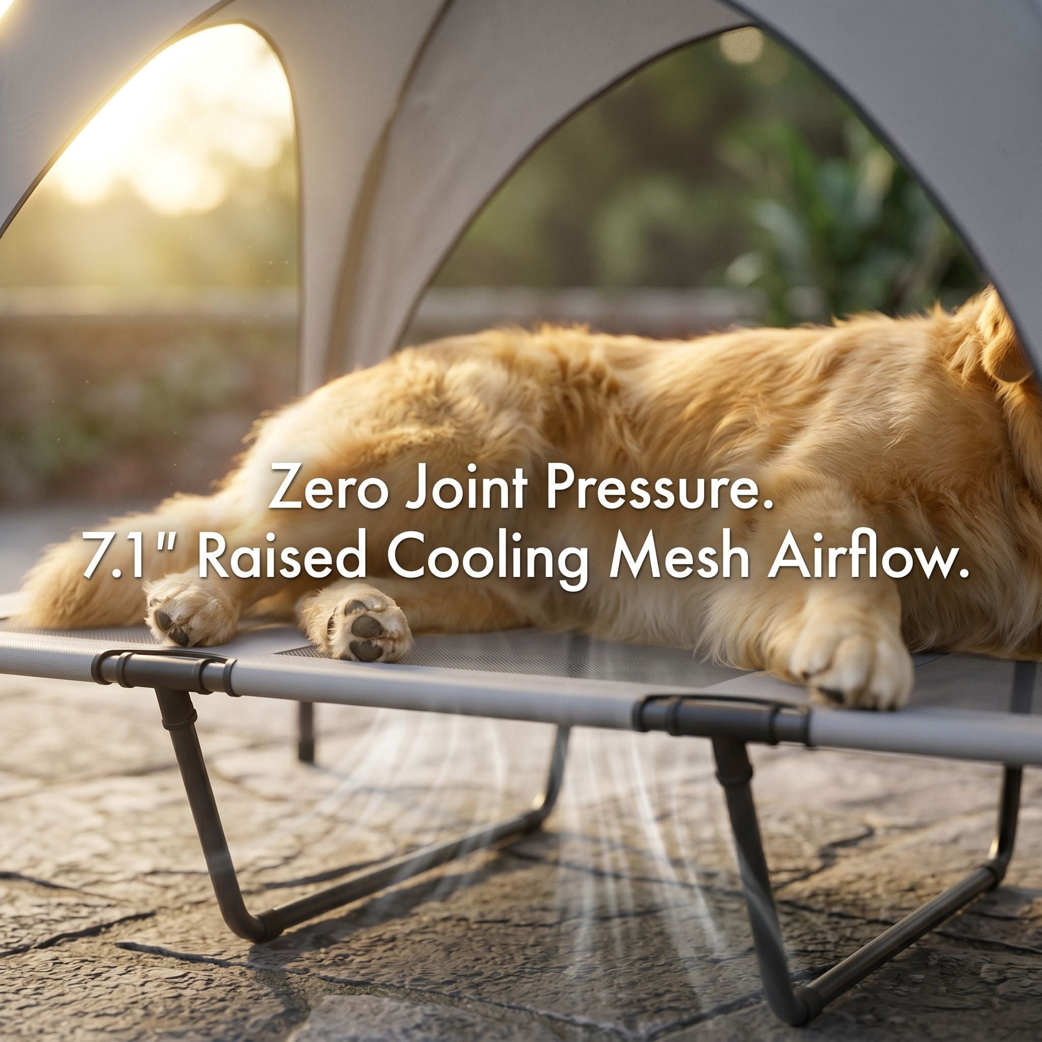 42" Elevated Dog Bed with Canopy, Raised Outdoor Pet Bed for Large Dogs with Portable Carry Bag & Cooling Mesh, Light Gray