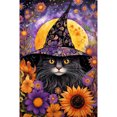 thumbnail image 1 of 5D DIY Con Taladro Arte para El Gato Halloween 40x60cm, 1 of 9