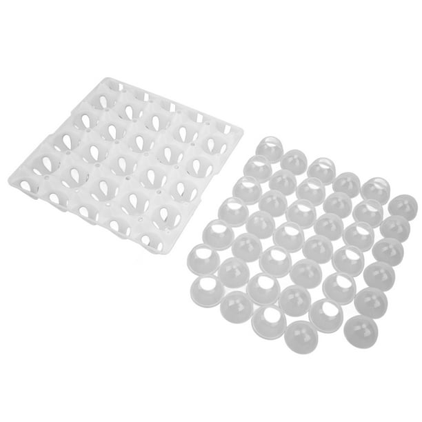 Eggshell Empty Container,20pcs Transparent Eggshell Professional