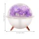 thumbnail image 2 of Humidificador de flores eternas con luz LED nocturna y alimentación USB | Vapor silencioso de 500 ml para dormitorio, oficina o escritorio | Arreglo floral DIY y regalo de decoración para el hogar, 2 of 3