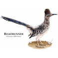 thumbnail image 3 of CafePress - Roadrunner White T Shirt - Men's Classic Cotton T-Shirts, 3 of 3