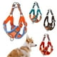 thumbnail image 4 of Arnés para perros, correa ajustable, chaleco para mascotas, para perros pequeños y grandes, malla reflectante, correa para el pecho para cachorros y gatos, accesorios para perros, 4 of 5