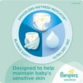 thumbnail image 5 of Pampers Swaddlers Sensitive Newborn Diapers Size 0 80 count, 5 of 10