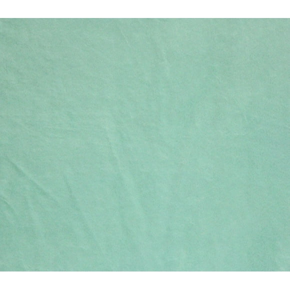 Minky Solid Blanket Fabric 60" Wide Sold by The Yard (ICY Mint)
