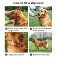 thumbnail image 2 of Legendog Reflective Dog Leash Rope Slip Lead 6.5 FT Durable Training Leashes for Small Medium Large Dogs Black Red Blue Green, 2 of 10