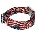 thumbnail image 6 of Country Brook Petz® 1 1/2 inch Premium Patriotic Tribute Dog Collar, Large, 6 of 7