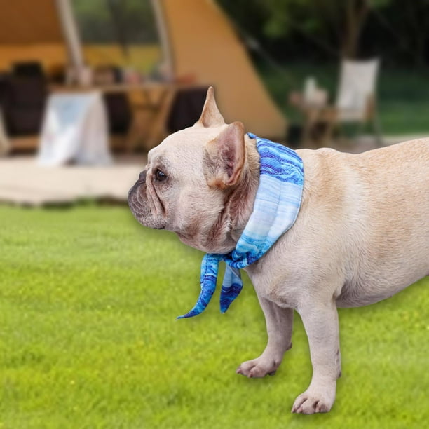 Pañuelo para perros, collar para mascotas, reutilizable, portátil, transpirable, cómodo, para el cuello, bufanda de hielo para M