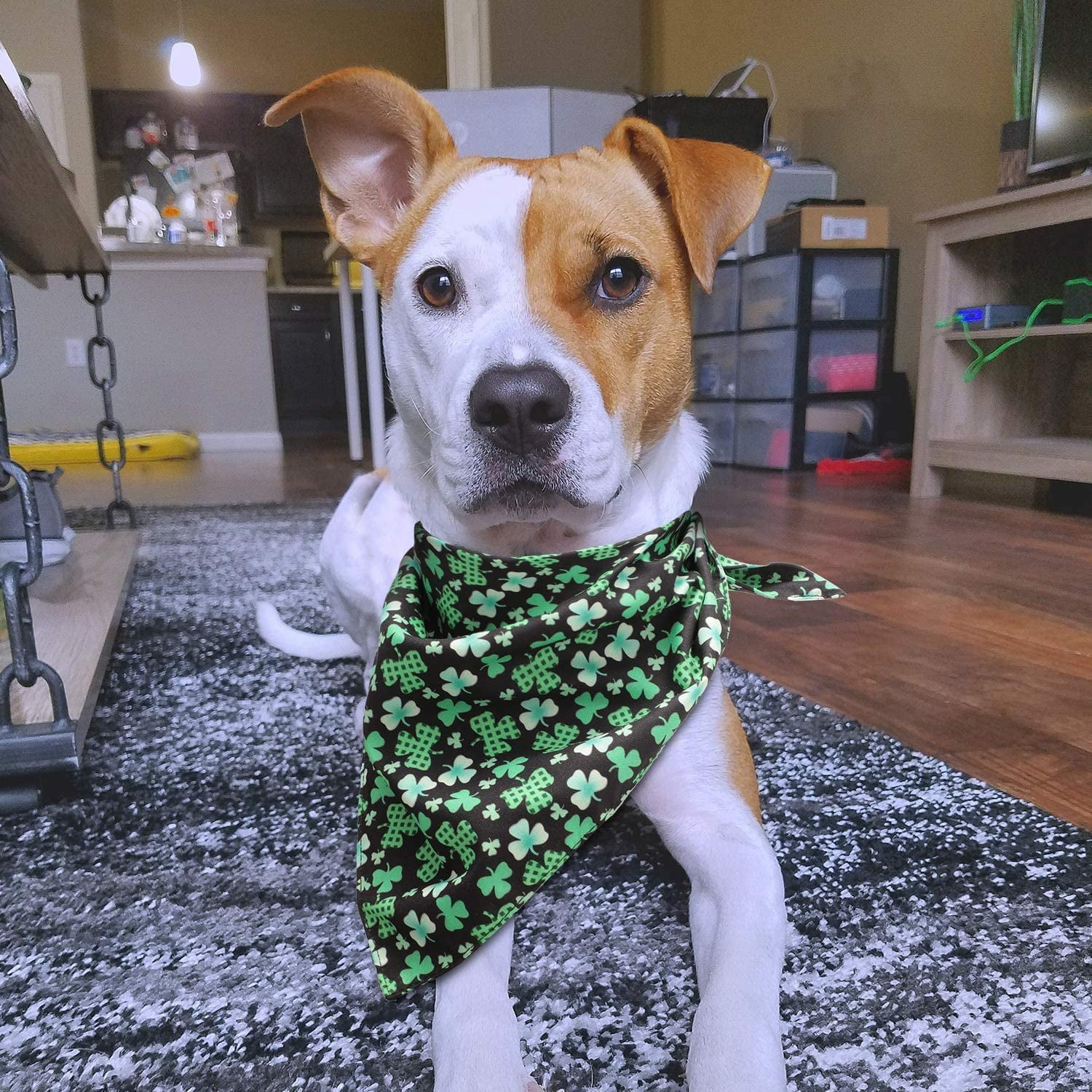 Style 1 Patricks Day Dog Bandana Green Plaid Pet Bandana Triangle Bibs Scarf Accessories for Small Medium Large Dog St 
