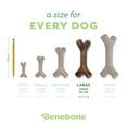 thumbnail image 6 of Benebone Bacon Stick Durable Dog Chew Toy for Aggressive Chewers, Real Bacon, Large, 6 of 9