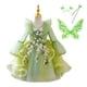 thumbnail image 2 of Tinkerbell Fairy Dress Girl Disney Princess Tiana Disfraz de cumpleaños Fiesta de Halloween Traje de cosplay con alas Niños Green Frocks3T (Etiqueta 110) Gao Jinjia LED, 2 of 2