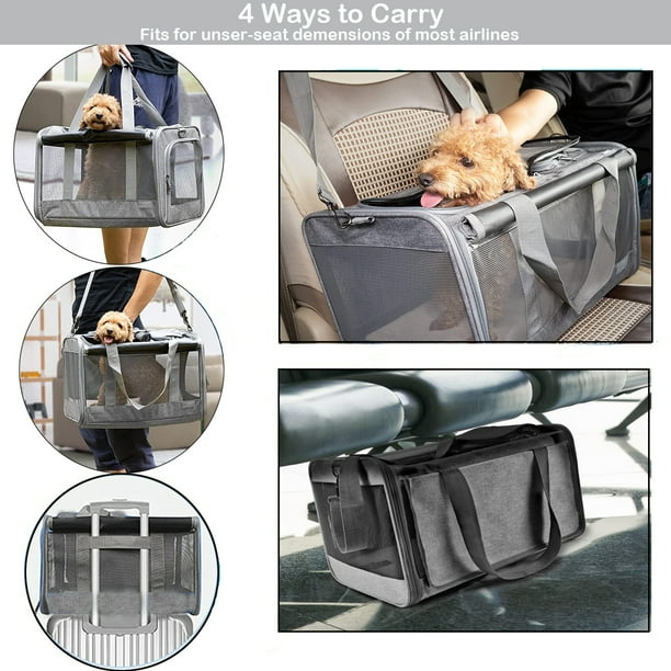Cat Carrier For Cats Ferplast Clipper Cat Carrier, IATA, Small