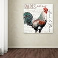 thumbnail image 3 of Trademark Fine Art "Dans la Ferme Rooster III" Canvas Art by Jennifer Redstreake, 3 of 6
