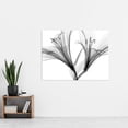 thumbnail image 2 of Schwartz NJIT Greyscale Flowers X-Ray Transparent Photo Extra Large XL Wall Art Poster Print, 2 of 3