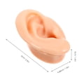 thumbnail image 4 of KAKOWELY Silicone Ear Models 2pcs Silicone Ear Models Earrings Display Fake Ear Samples (Assorted Color)2.36"X1.92"X1.57", 4 of 4