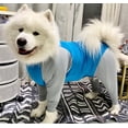 thumbnail image 5 of Pet Recovery Suit Dog Pajamas High Elasticity Comfortable Convenient Home Wear Jumpsuit Clothing For Small Medium Dogs, 5 of 9