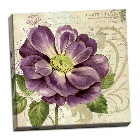 Tan and Purple Blooming Purple Poppy Adult Floral Decor; 1 - 12" x 12" Stretched Canvas