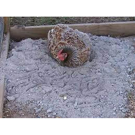 CZ Grain World's Best Chicken Bath with Wood Ash, Sand, Dusts, 5 lb