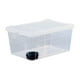 thumbnail image 1 of Caja de alimentación para reptiles, terrario transparente, hábitat, contenedor de incubación reutilizable, caja de cría para gecos, lagartos, , Cuenco negro de 32 x 22 x 15 cm, 1 of 8