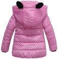 thumbnail image 2 of Ficarrico Niños Niño Niña Invierno Con Capucha Abrigo Acolchado Espesar Punto A Prueba De Viento Caliente Puffer Chaqueta Outwear Ropa, 2 of 5