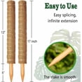 thumbnail image 2 of 2 Pack 17 Inch Moss Pole, Stackable Moss Poles for Climbing Plants Monstera, Tall Plant Sticks Accessories, Large Coir Plant Support Stakes for Potted Plants Indoor, Pothos, Philodendron, 2 of 7