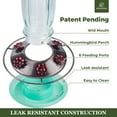 thumbnail image 4 of Kingsyard 2 Pack Glass Hummingbird Feeder with Ant Moat for Outdoors, 16 oz, 6 Feeding Ports, Green, 4 of 6