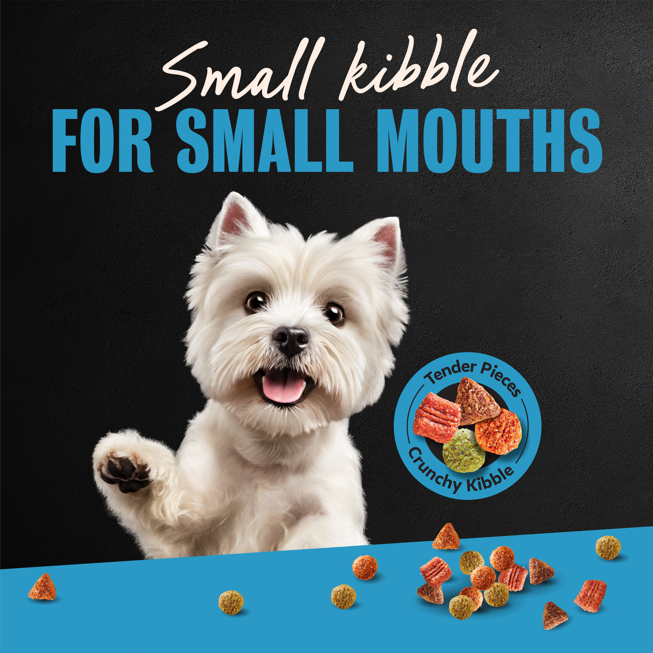Cesar Small Breed Adult Chicken & Vegetable Dry Dog Food photo 7
