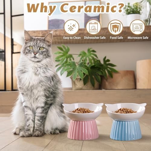 Ceramic Raised Cat Bowl，Tilted Raised Bowl Anti Vomit Bowls for Indoor Cats Whisker Friendly Pet Feeder for Cats Puppies, Microwave and Dishwasher Safe Pink+Blue