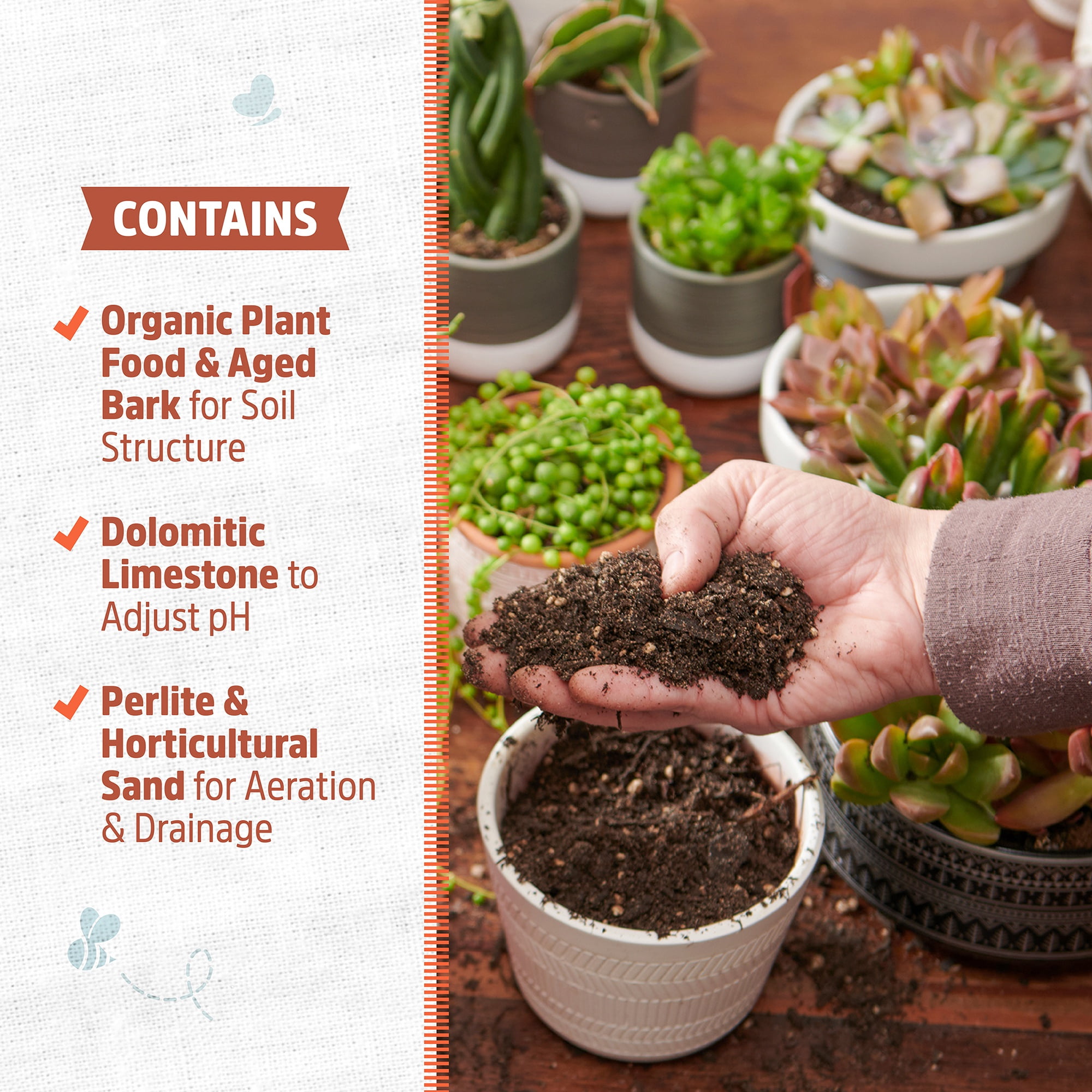 Back to the Roots  100% Organic Succulent & Cacti Mix (6 Quart)