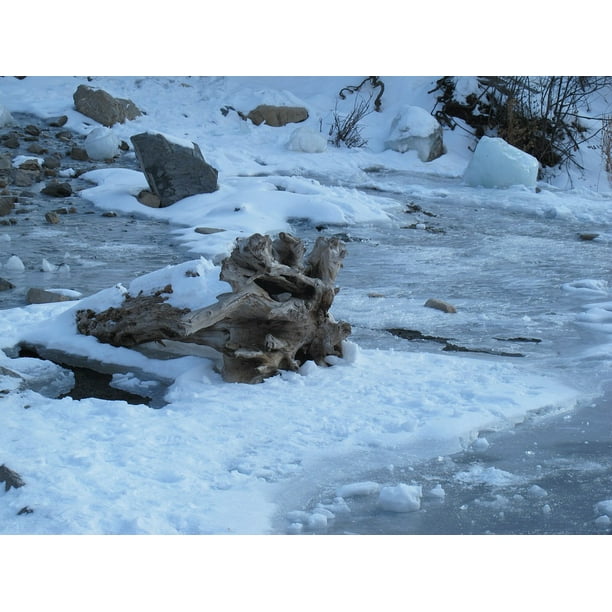 Creek Bridal Veil Falls Utah Frozen Winter Stream Inch By 30 Inch Laminated Poster With Bright Colors And Vivid Imagery Fits Perfectly In Many Attractive Frames Walmart Com Walmart Com
