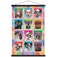 thumbnail image 1 of Keith Kimberlin - Chiots - Lunettes de soleil, 1 of 4