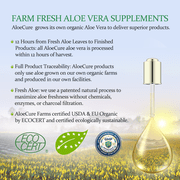 AloeCure Probiotics + Enzyme Capsules for Womens Digestive Health with 10 Billion CFU - Daily Aloe Supplement, Full Spectrum Probiotic + Prebiotic Supplement, Gut Support, Super Enzymes, 30 Caps