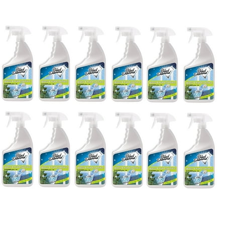 New Black Diamond 24oz Glass & Hard Surface Cleaner (Pack of 12)