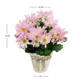 thumbnail image 3 of Expert Gardener 6IN Pink Fall Mum Live Plant in Burlap Pot Cover, 3 of 3