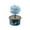Blue, variant on DIY Growing Kit Grow Trees in 24 Hours Educational Craft Kit with 1 colorful Growing Powders 1 1 Stir Sticks 1 measuring cups and 1 instruction manual Craft Kits(Clear)